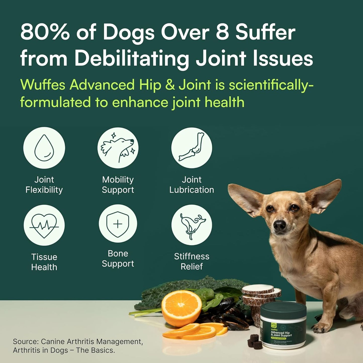 Wuffes Advanced Dog Hip and Joint Supplement with Glucosamine, Chondroitin, Omega 3, MSM, and Green Lipped Mussel, 120 Pork Flavored Chews for Small and Medium Dog Breeds